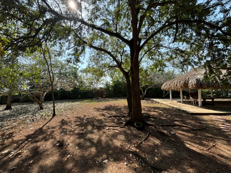 WhatsApp Image 2026-02-09 at 10.41.03 AM (2).jpeg